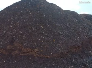 Compost